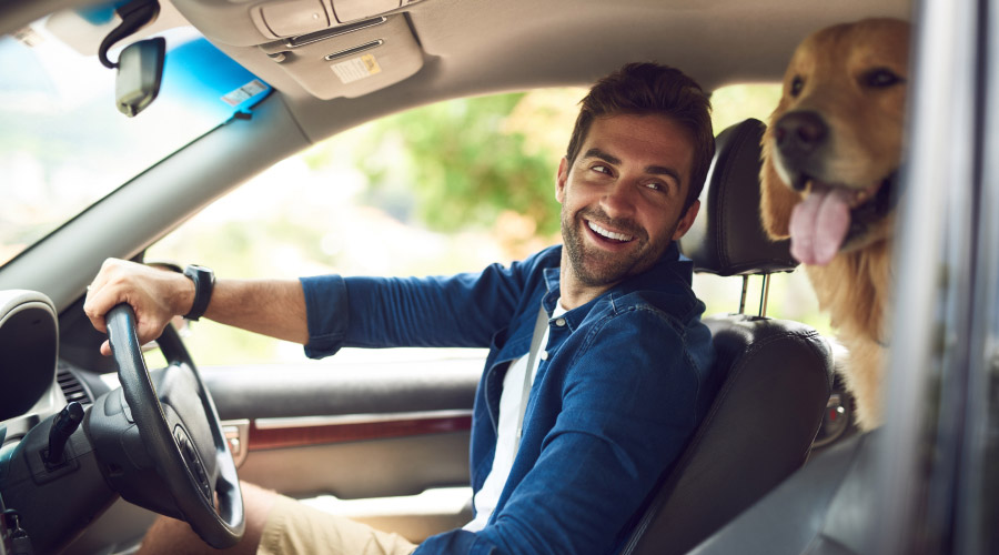 GRID-1-PRK-Rick-Wolfe-Vista-Eyes-Elsternwick